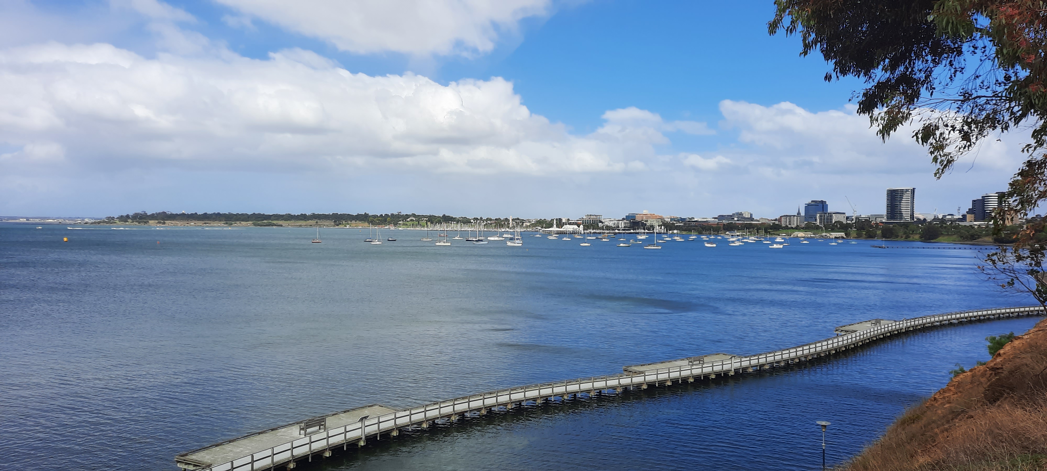 Geelong
